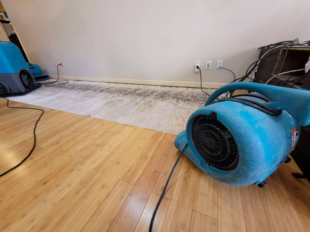 Reliable Basement Flood Cleanup contractor in Carrollton, MI by Hirex Water Damage