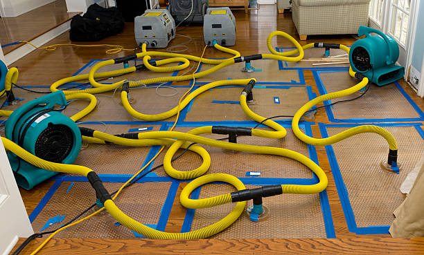Professional Basement Flood Cleanup technician working in Carrollton, MI